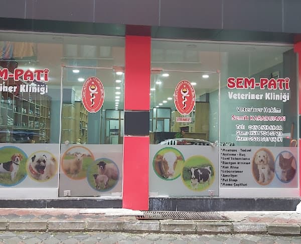 Galeri fotoğrafı 1