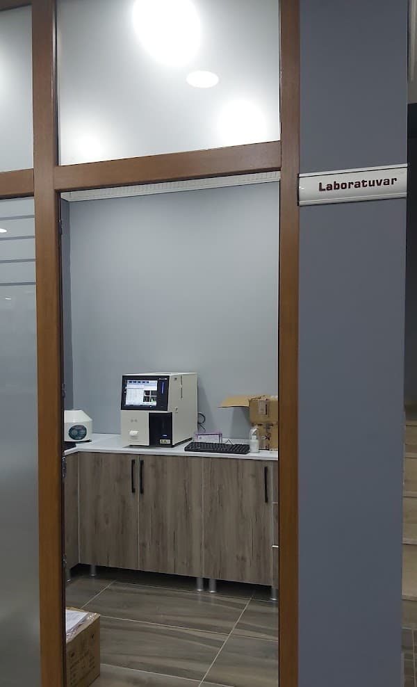 Galeri fotoğrafı 2