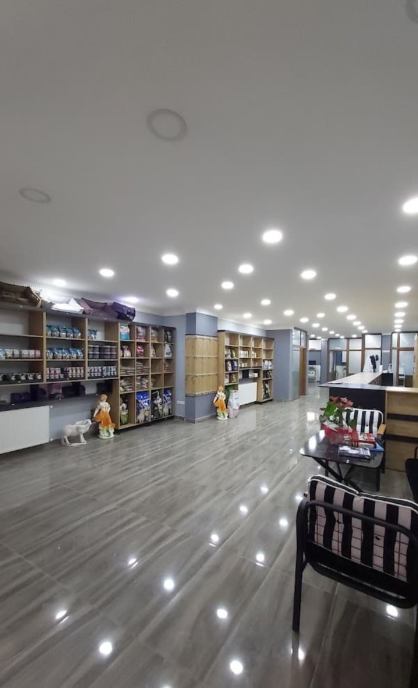 Galeri fotoğrafı 6